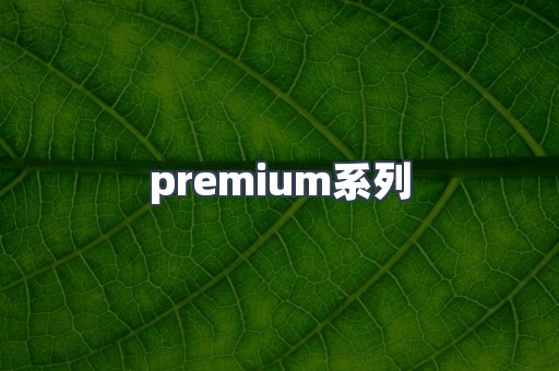 premium系列